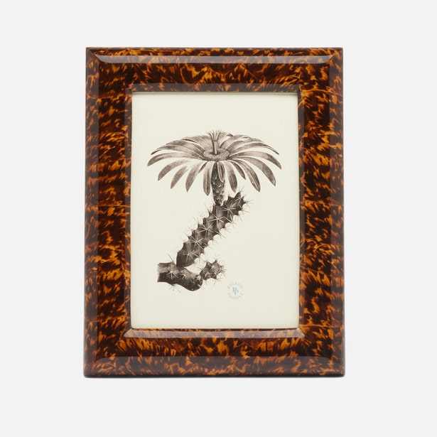 Dana Collection Faux Tortoise Frame