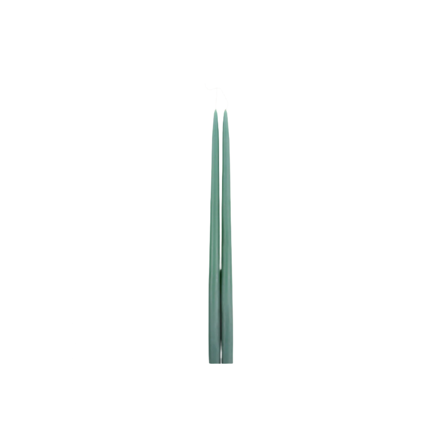 Fancy taper candles in Moss