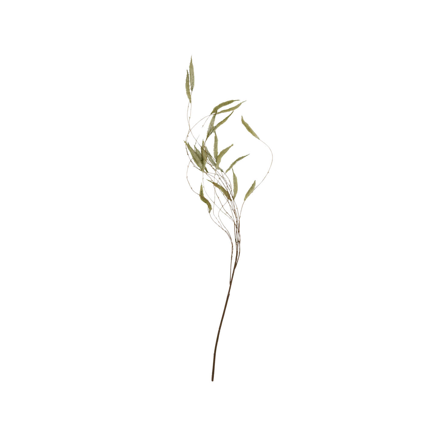 Artificial Trailing Catkin