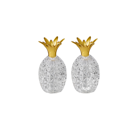 Caterina & Vittoria Salt and Pepper in Clear