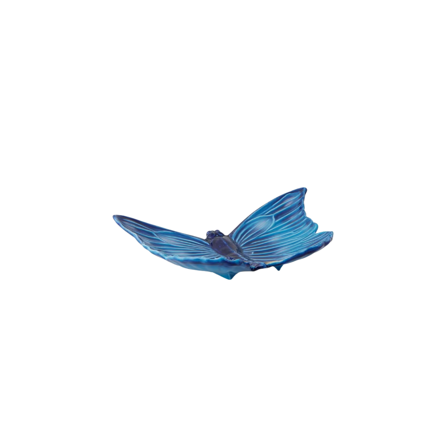 Cloudy Butterflies Vide Poche