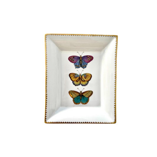 Exotic Butterflies Tray