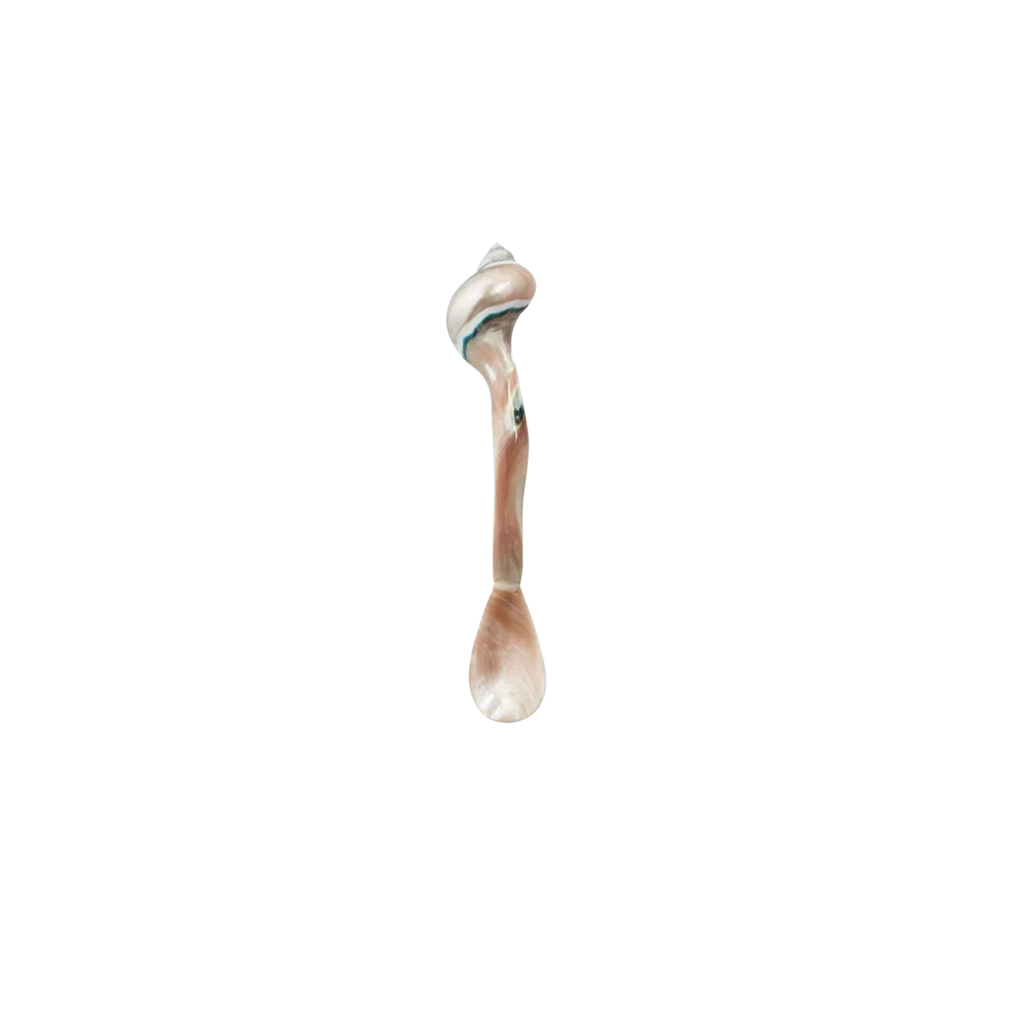 Handmade Large Caviar Spoon in Natural Shell, crafted from resin and natural shells. Non-reactive material ensures perfect serving. Hand wash recommended.