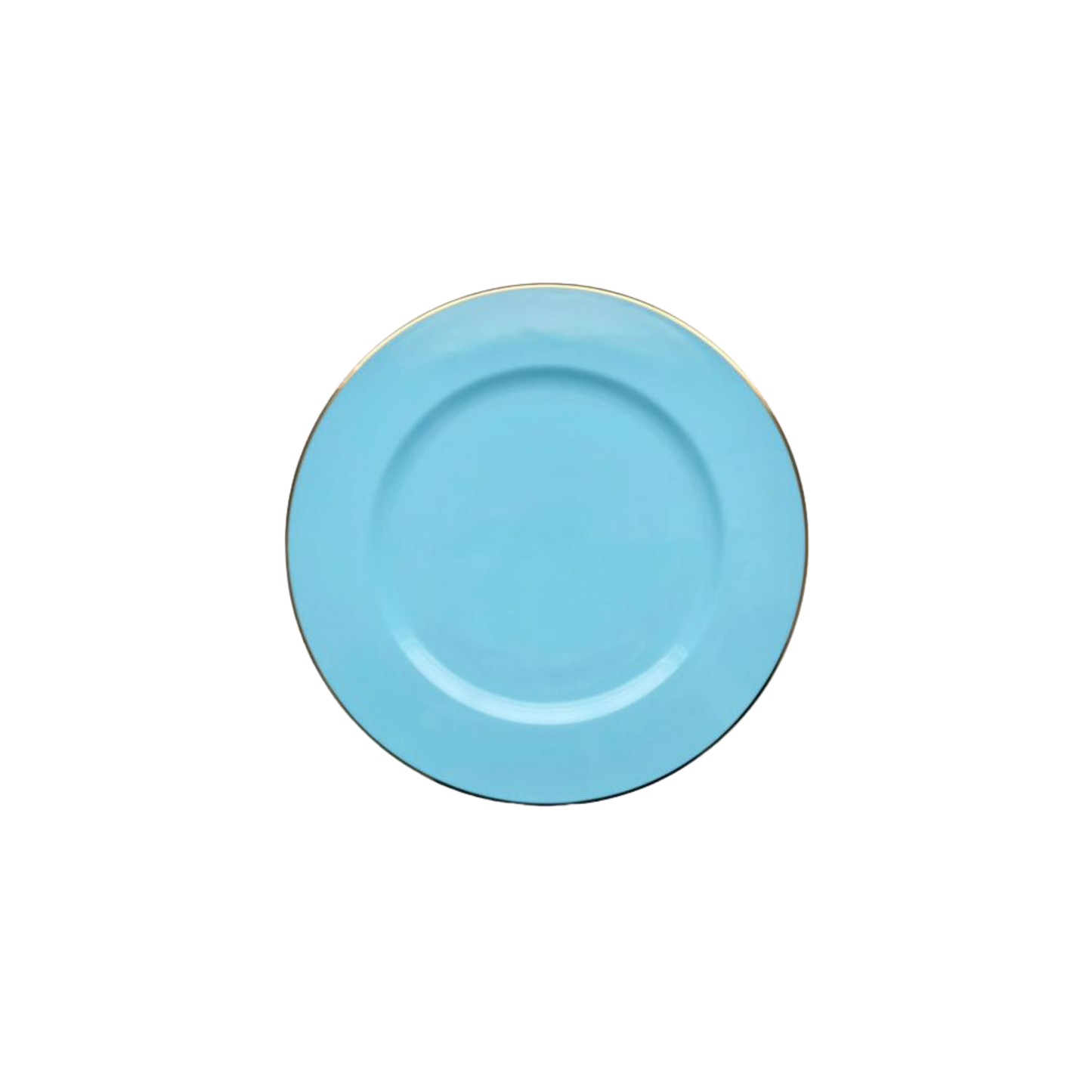 Light Blue Charger
