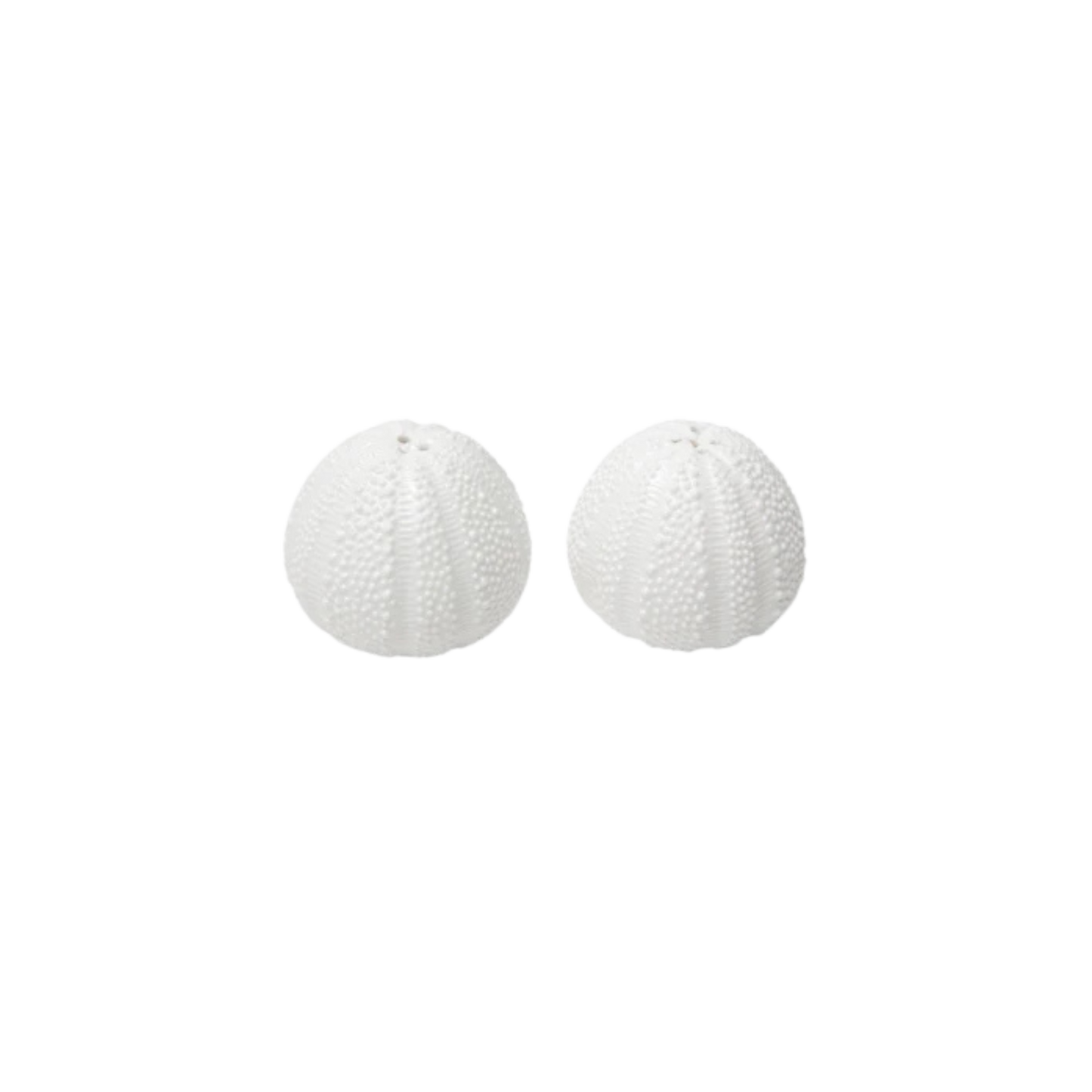 Marina White Sea Urchin Salt and Pepper Shaker