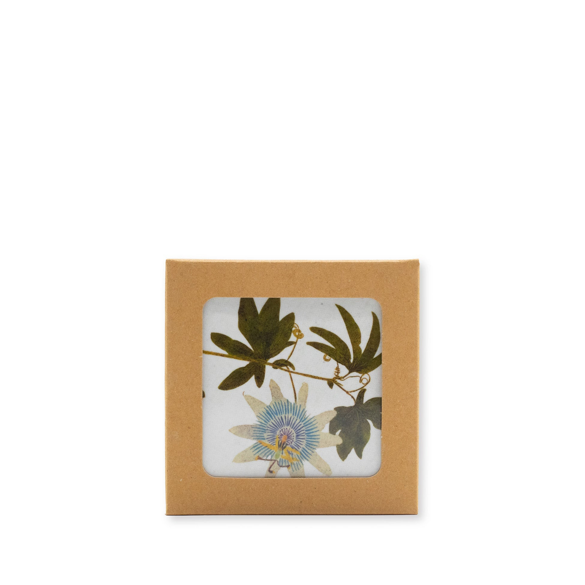 Herbarium Cork-Backed Coasters - Set of 6