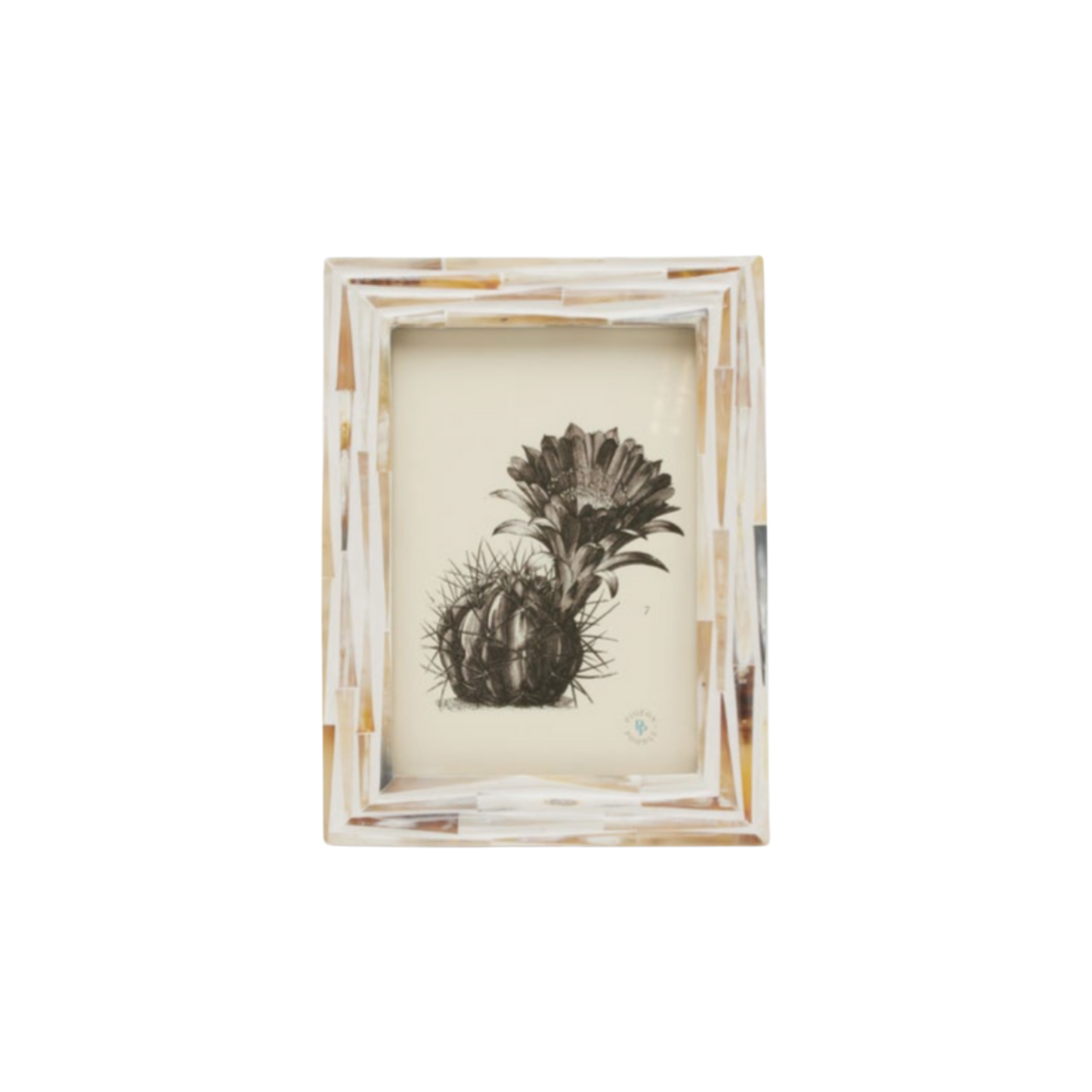 Winslow Collection Natural Horn Frame