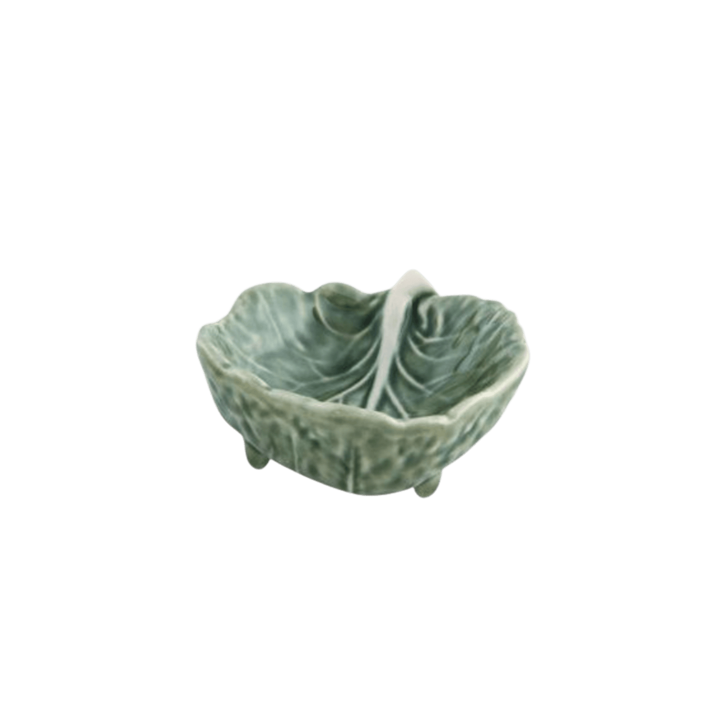 Cabbage Natural Small Leaf - Hosted by Kelly Gaudreau