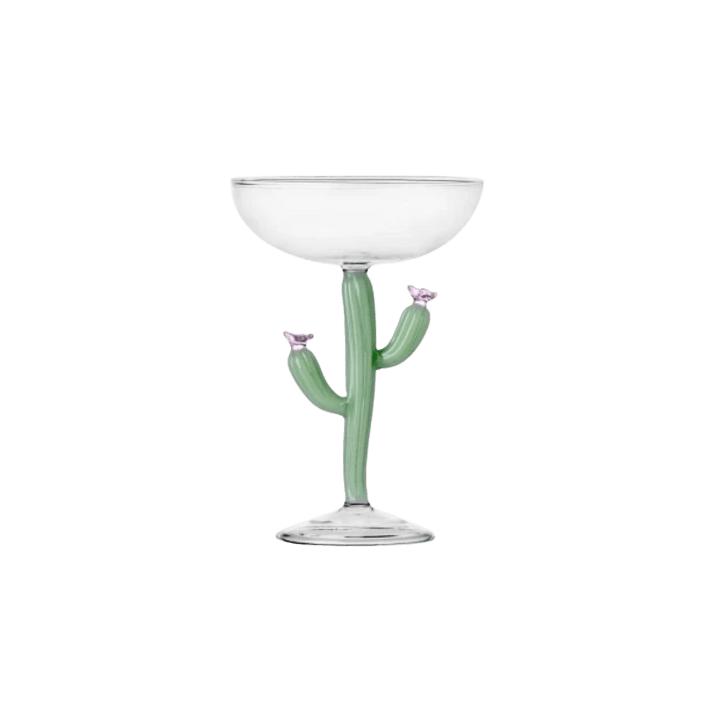 Desert Plants Champagne Bowl - Hosted by Kelly Gaudreau