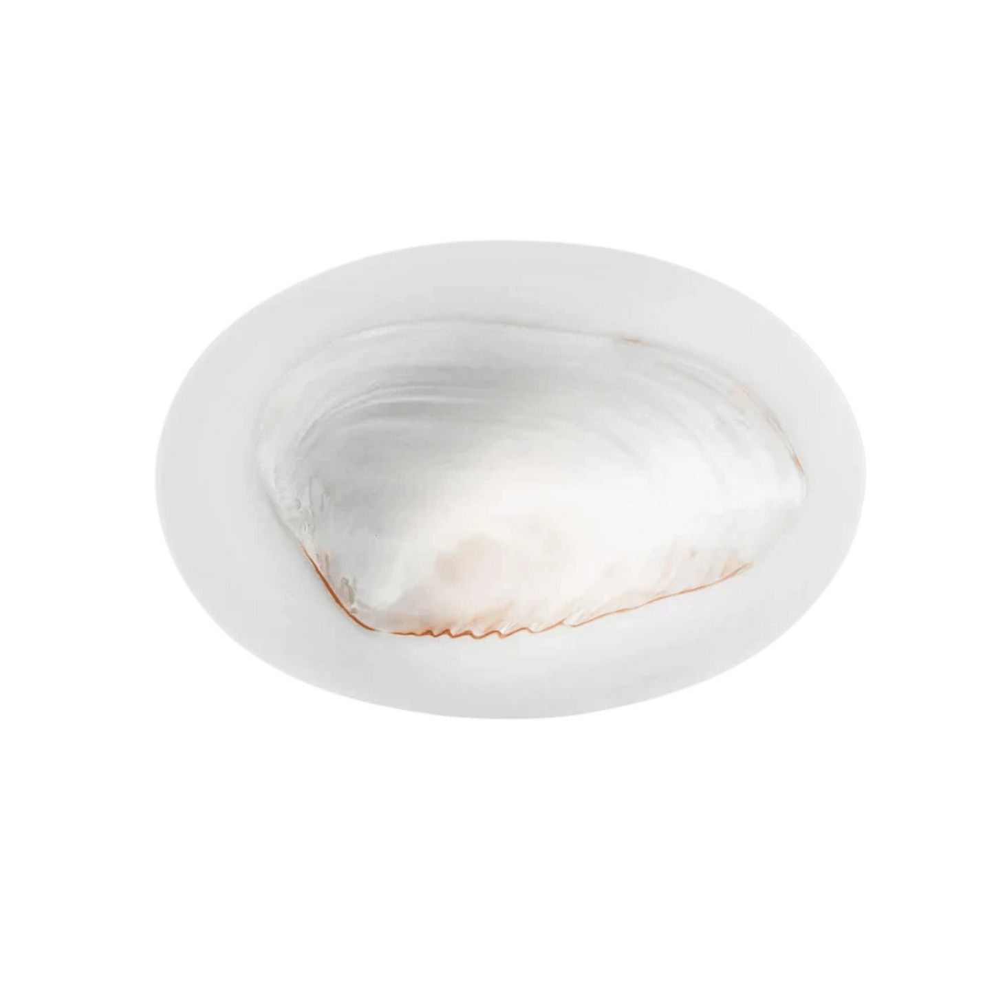 Large Caviar Dish - Hosted by Kelly Gaudreau