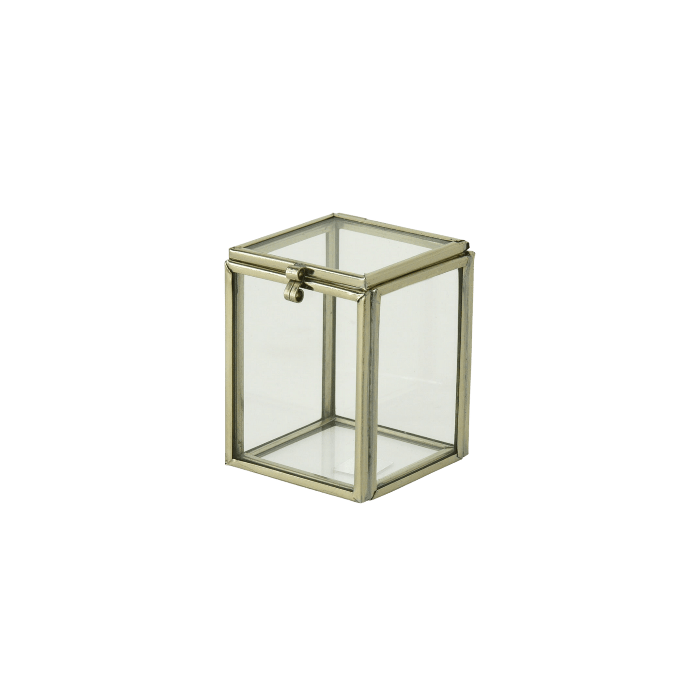 Large Cork Safe - Hosted by Kelly Gaudreau