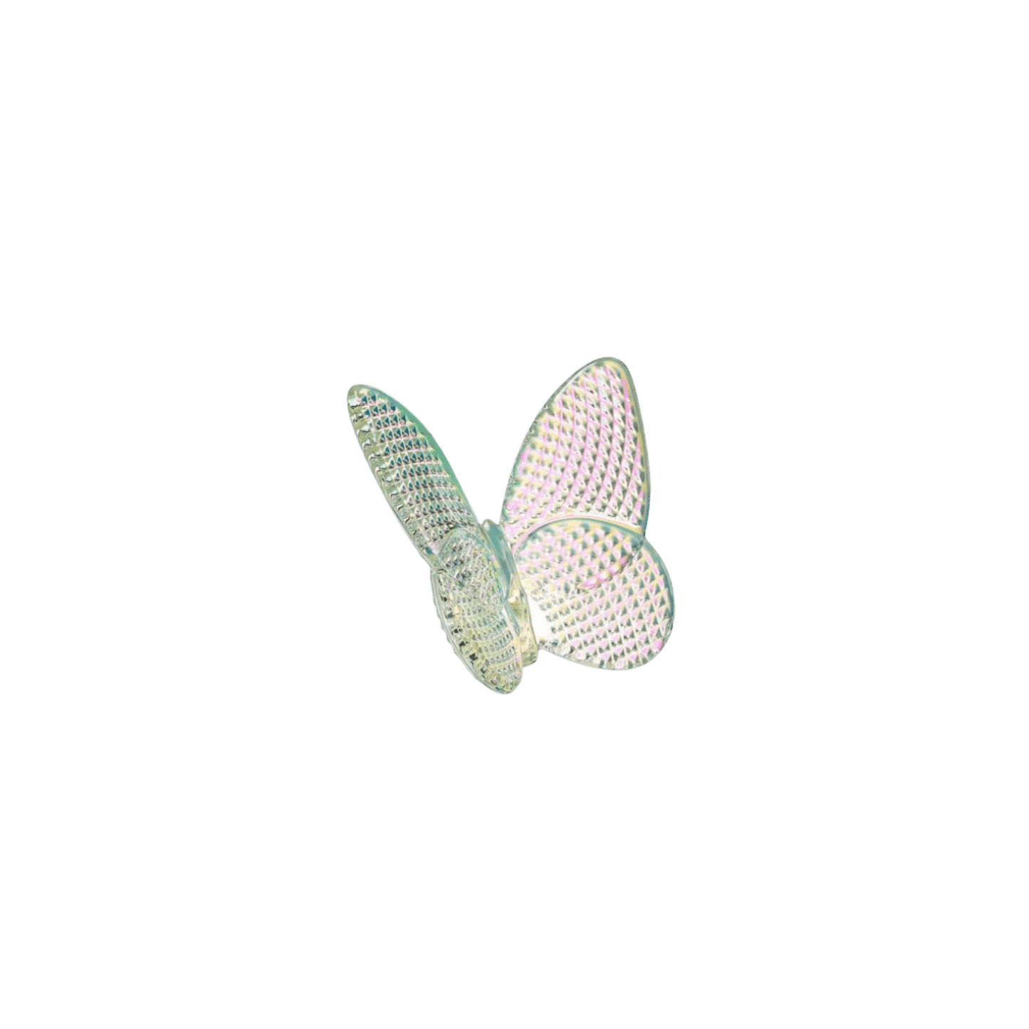 Lucky Butterfly - Hosted by Kelly Gaudreau