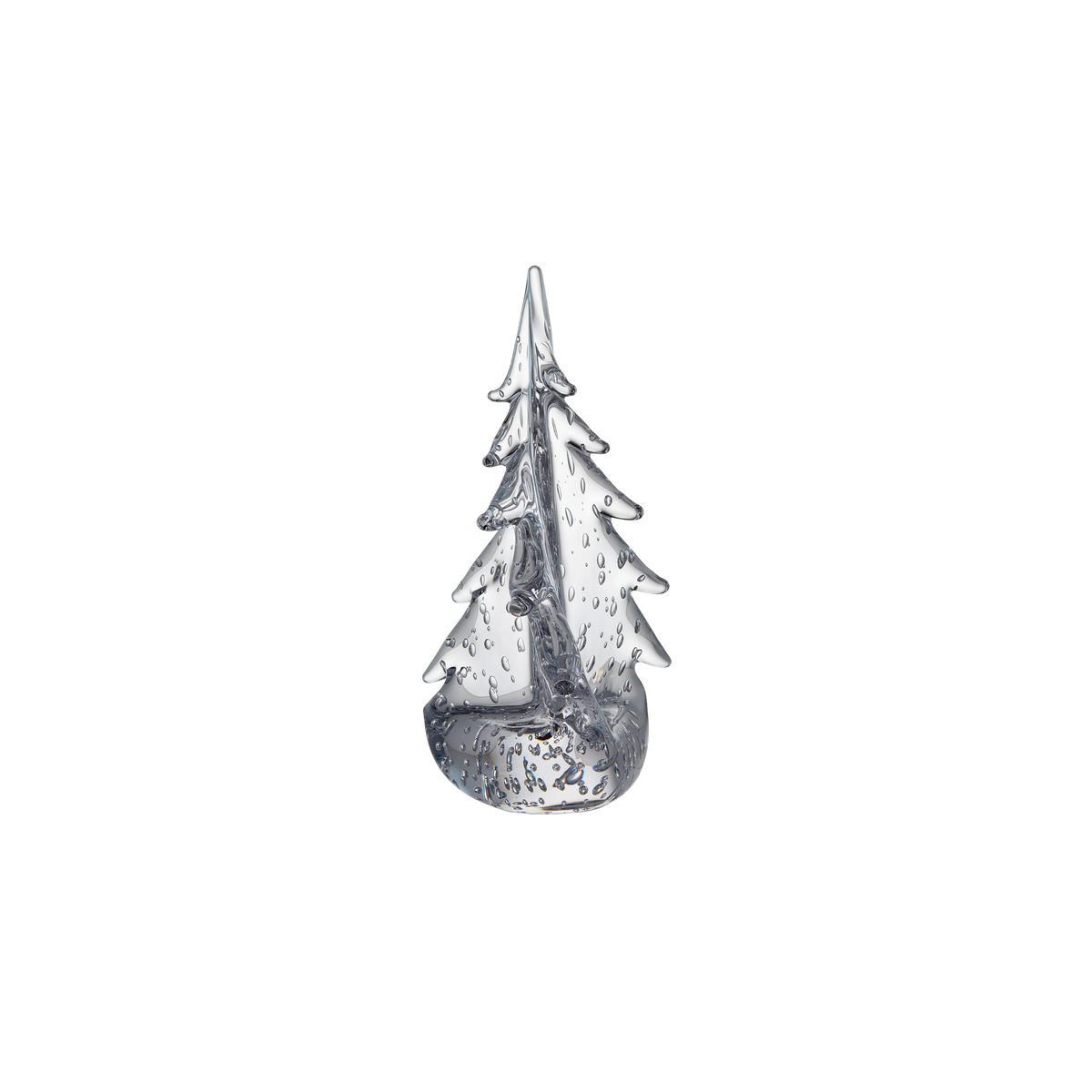 Bubble Twist Evergreen