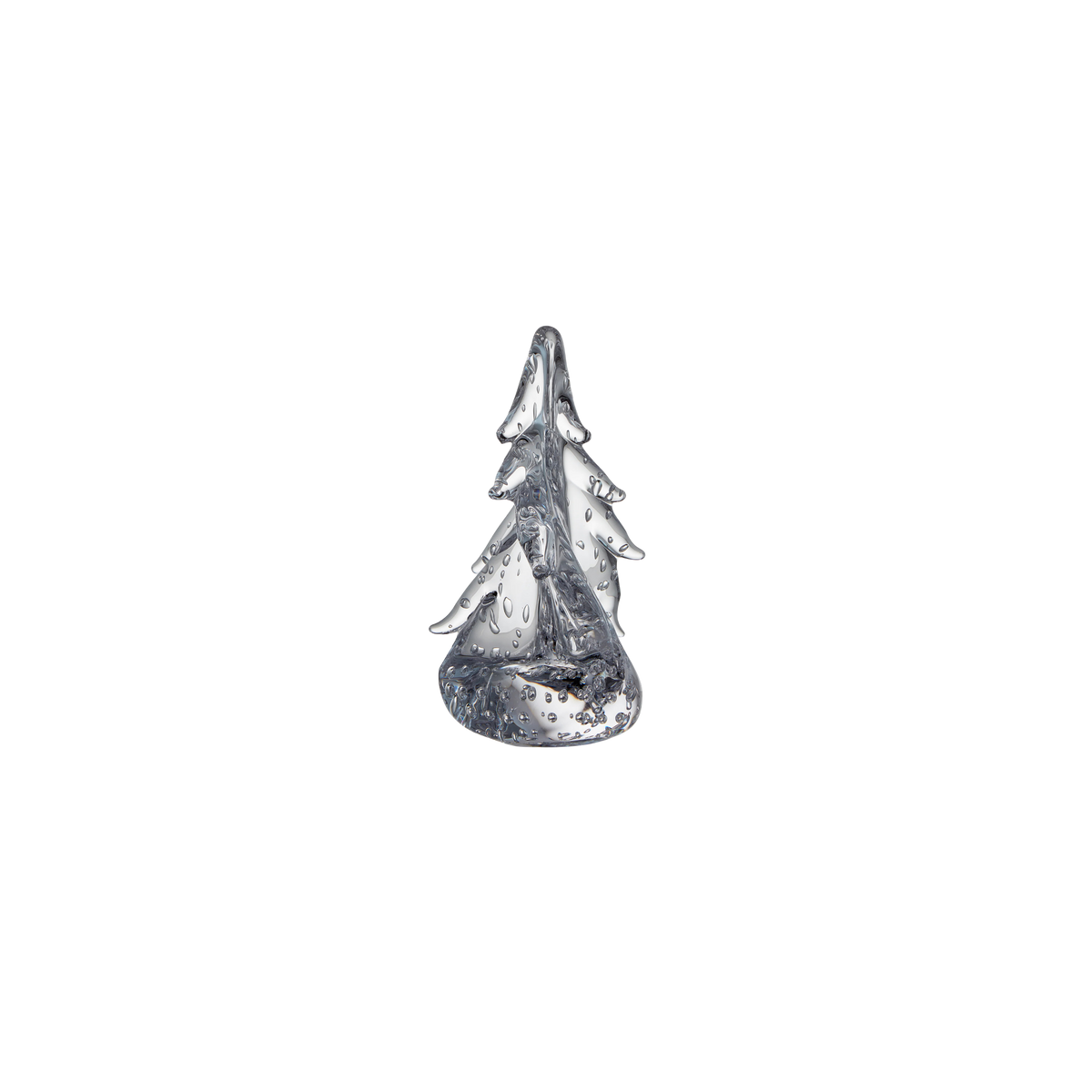 Bubble Twist Evergreen