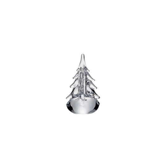 Five Sided Evergreen