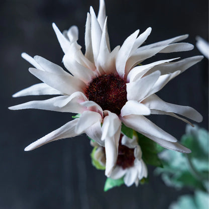 Artificial Chrysanthemum in Blush
