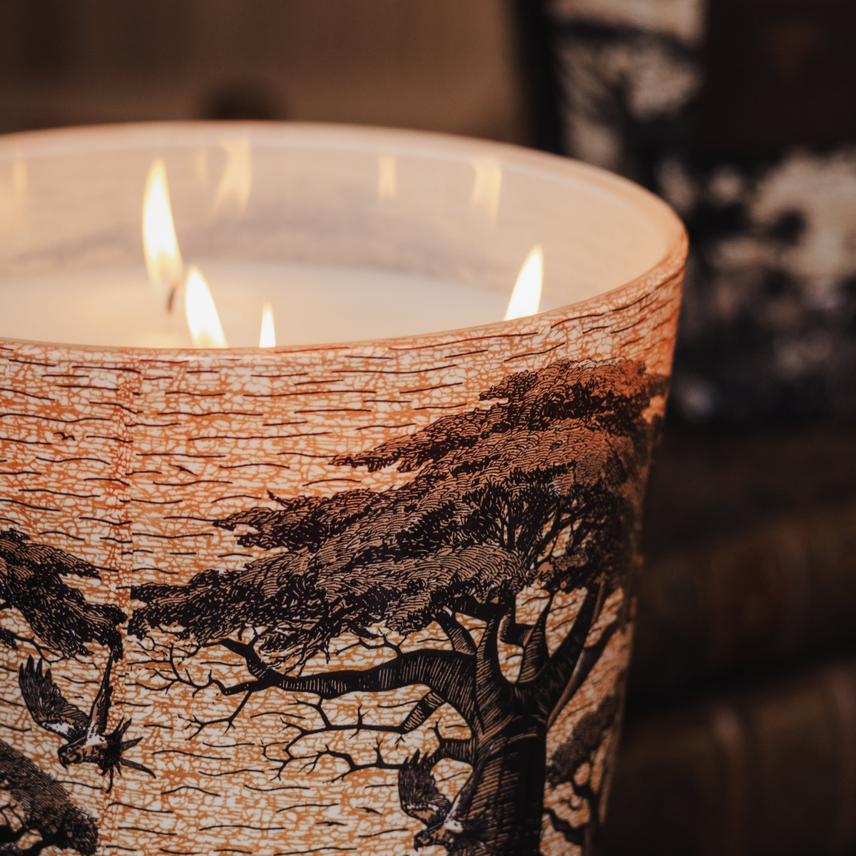 Sacred Trees Mankono Scented Candle