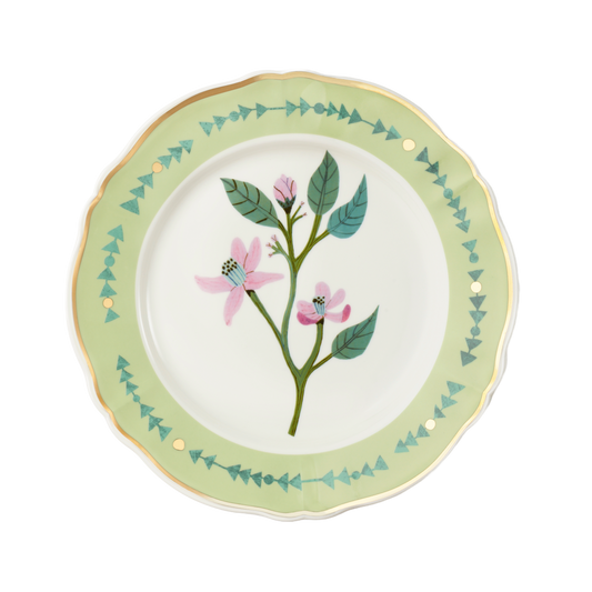 Dinner plate CM 10.5 inch Botanica Green