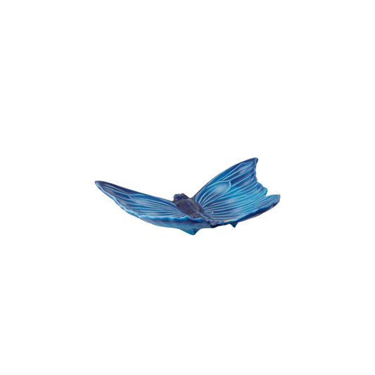 Cloudy Butterflies Vide Poche
