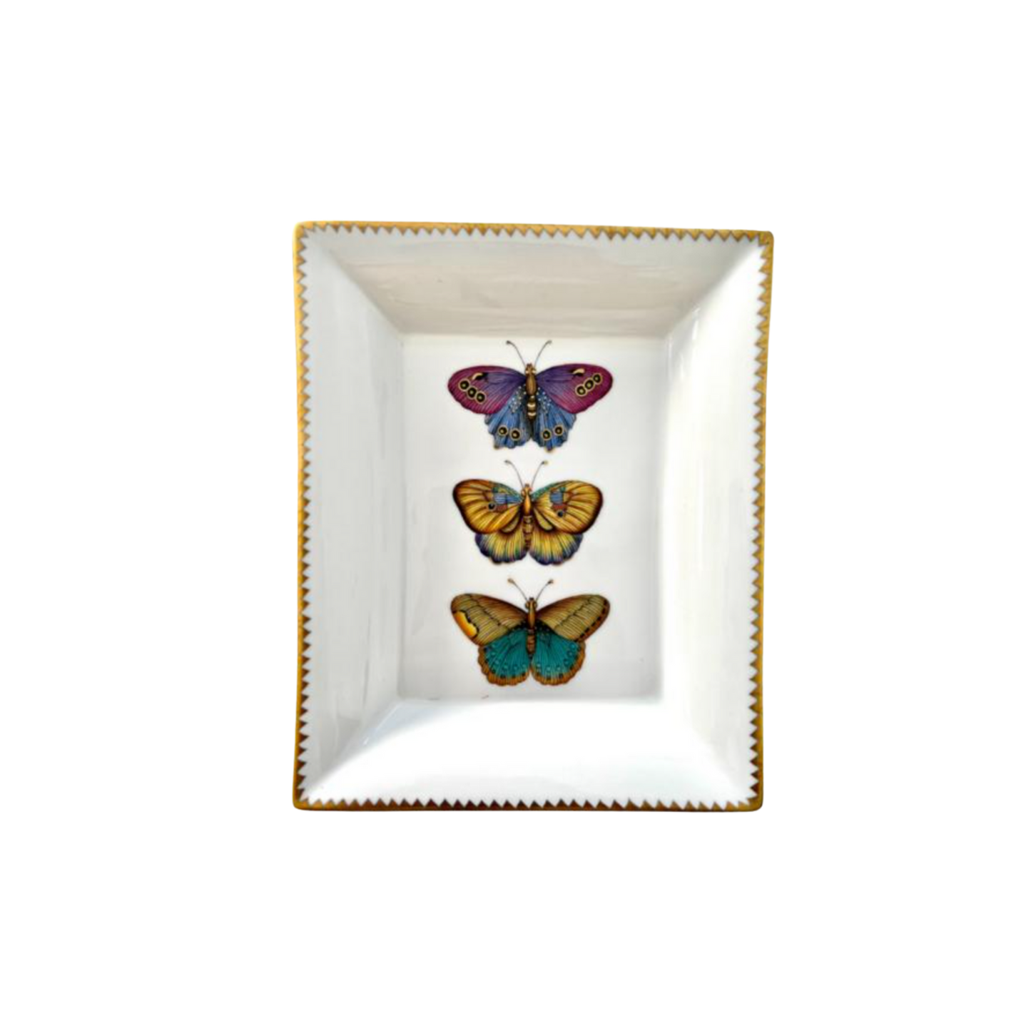 Exotic Butterflies Tray