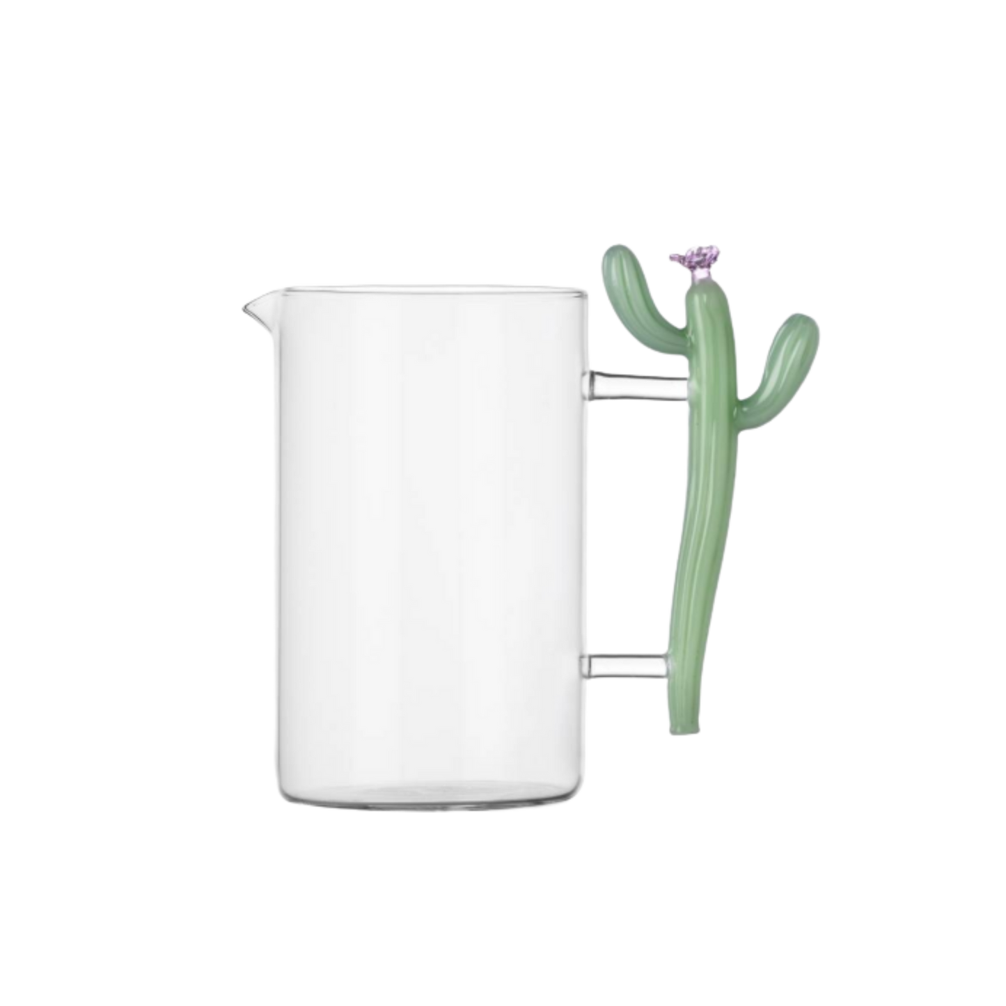 Jug Desert Plants
