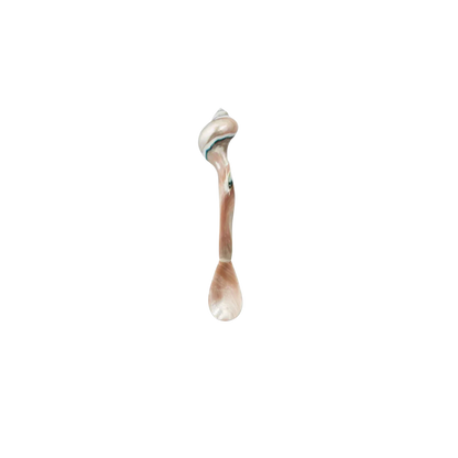  Handmade Large Caviar Spoon in Natural Shell, crafted from resin and natural shells. Non-reactive material ensures perfect serving. Hand wash recommended.