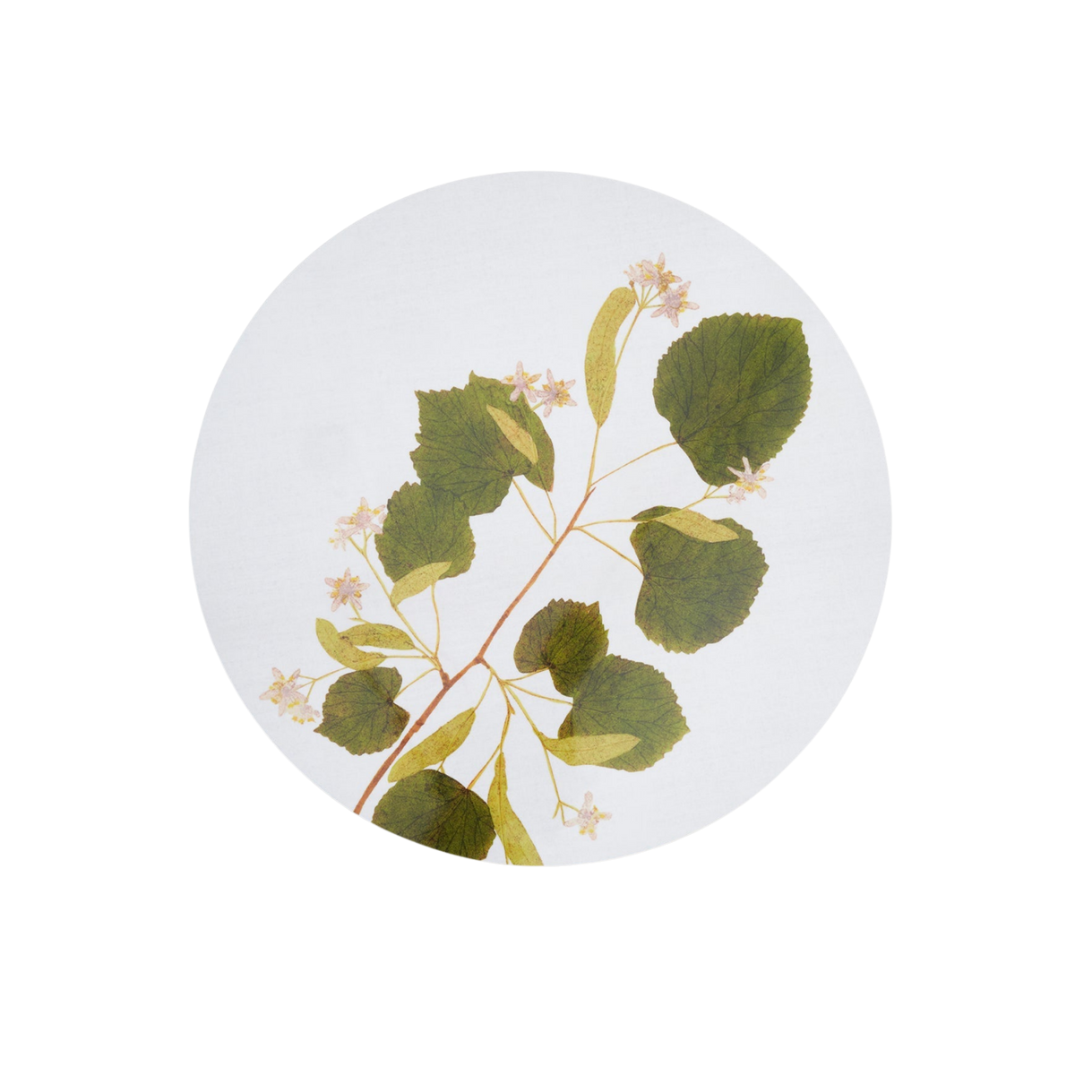 Limetree Herbarium Round Cork-Backed Placemat