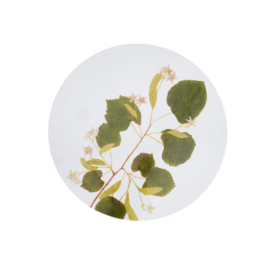 Limetree Herbarium Round Cork-Backed Placemat