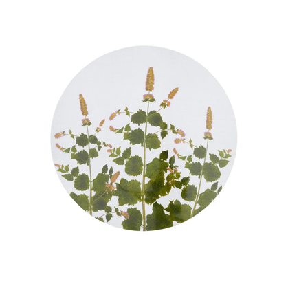 Mint Herbarium Round Cork-Backed Placemat