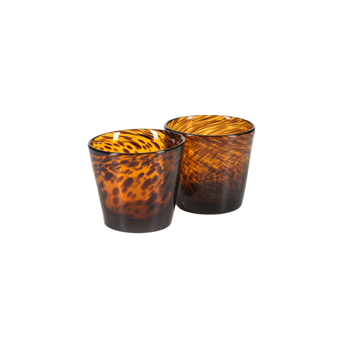 Sahara Tortoise Tumbler - Set of 2