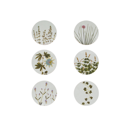 Herbarium Cork-Backed Coasters - Set of 6