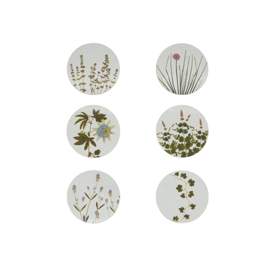 Herbarium Cork-Backed Coasters - Set of 6