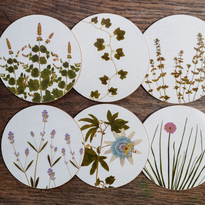 Herbarium Cork-Backed Coasters - Set of 6