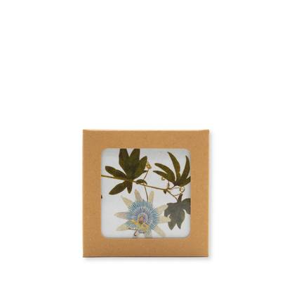 Herbarium Cork-Backed Coasters - Set of 6