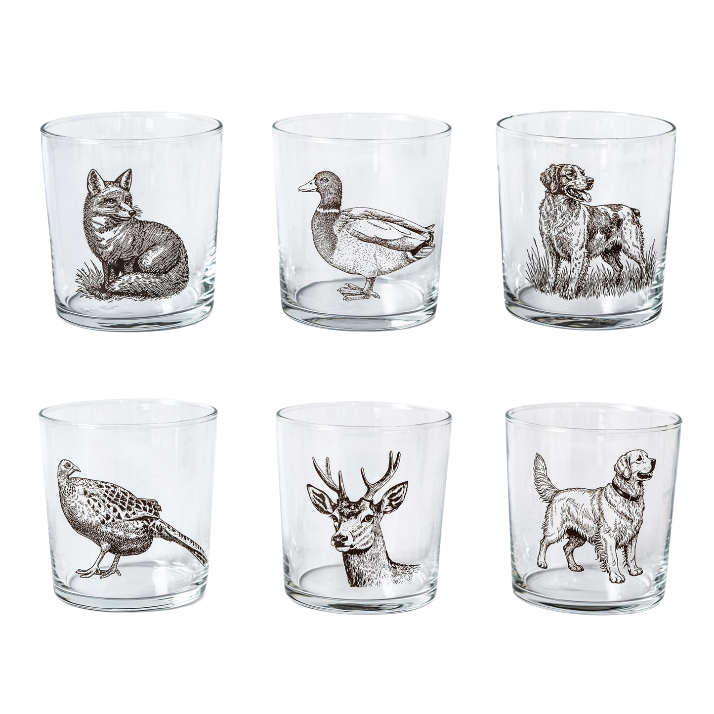 Wildlife Assorted Tumblers - Set of 6