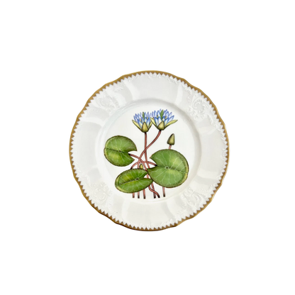 Waterlily Salad Plate with Border Design