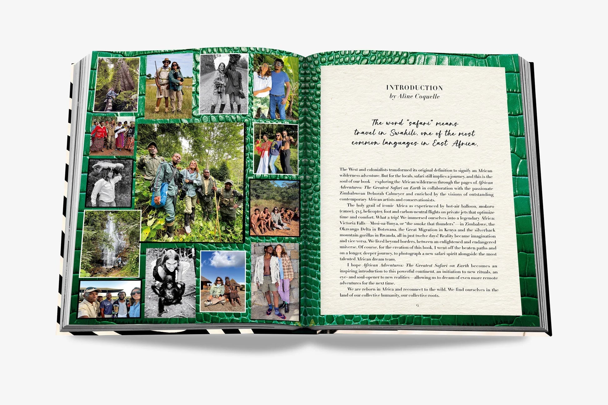 African Adventures: The Greatest Safari on Earth - Hosted by Kelly Gaudreau