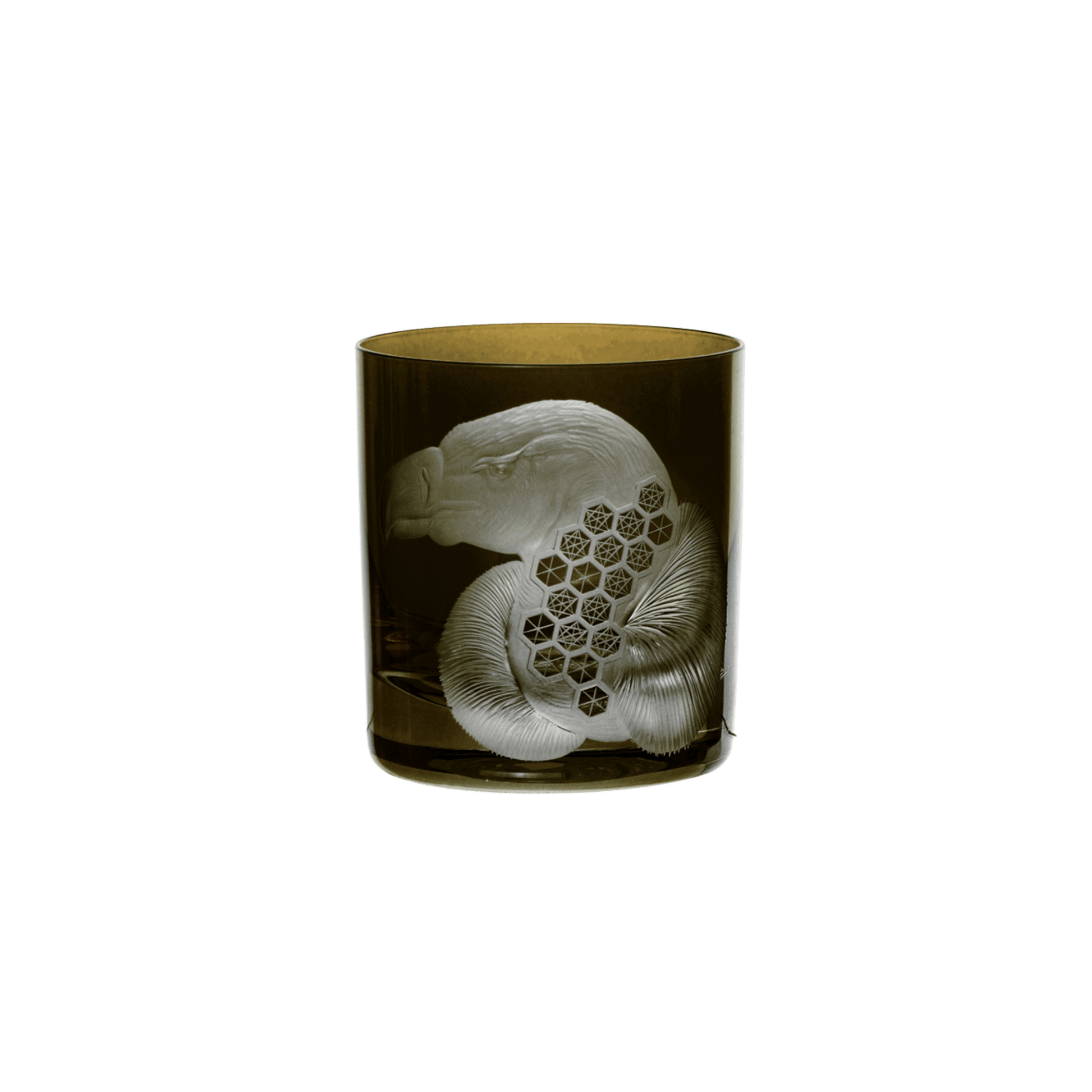 African Safari Vulture Double Old Fashioned - Moss - Hosted by Kelly Gaudreau