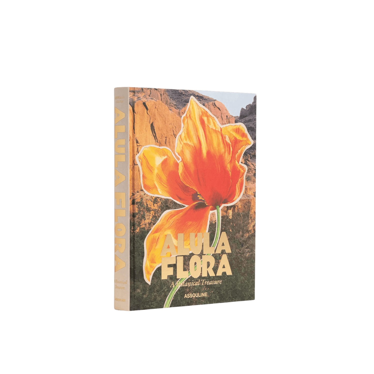 AlUla Flora - Hosted by Kelly Gaudreau