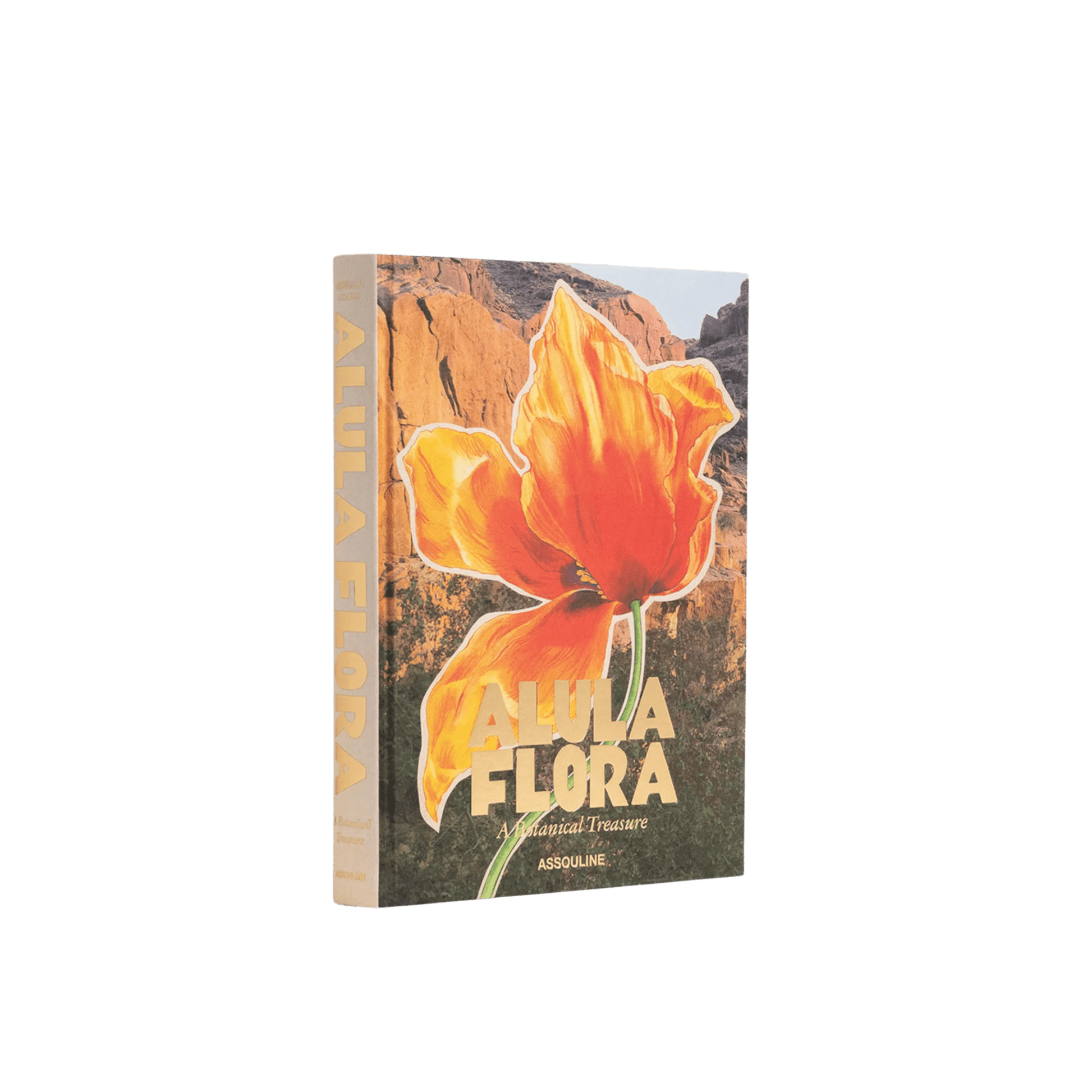 AlUla Flora - Hosted by Kelly Gaudreau