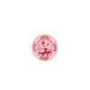 Porpora