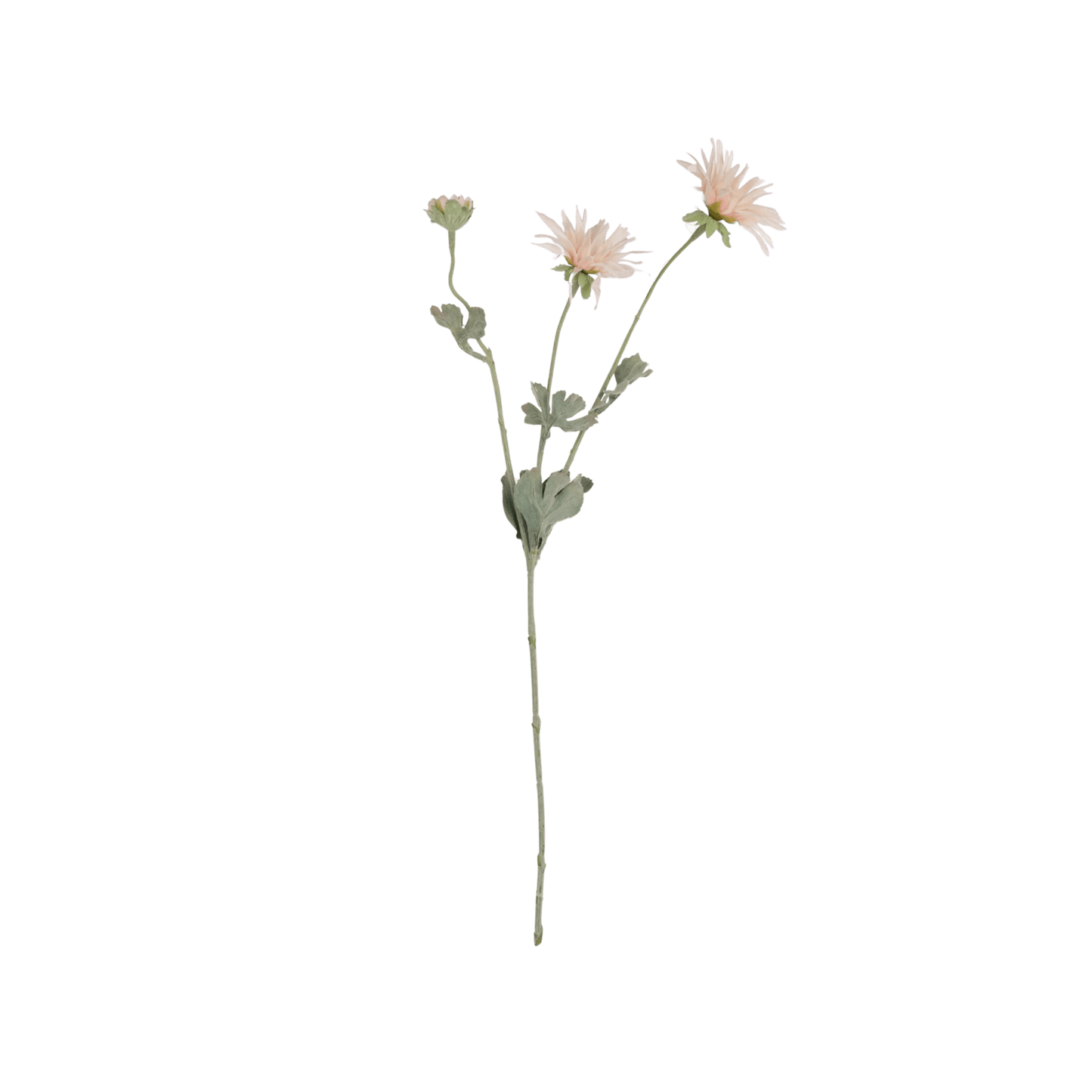 Artificial Chrysanthemum in Blush - Hosted by Kelly Gaudreau