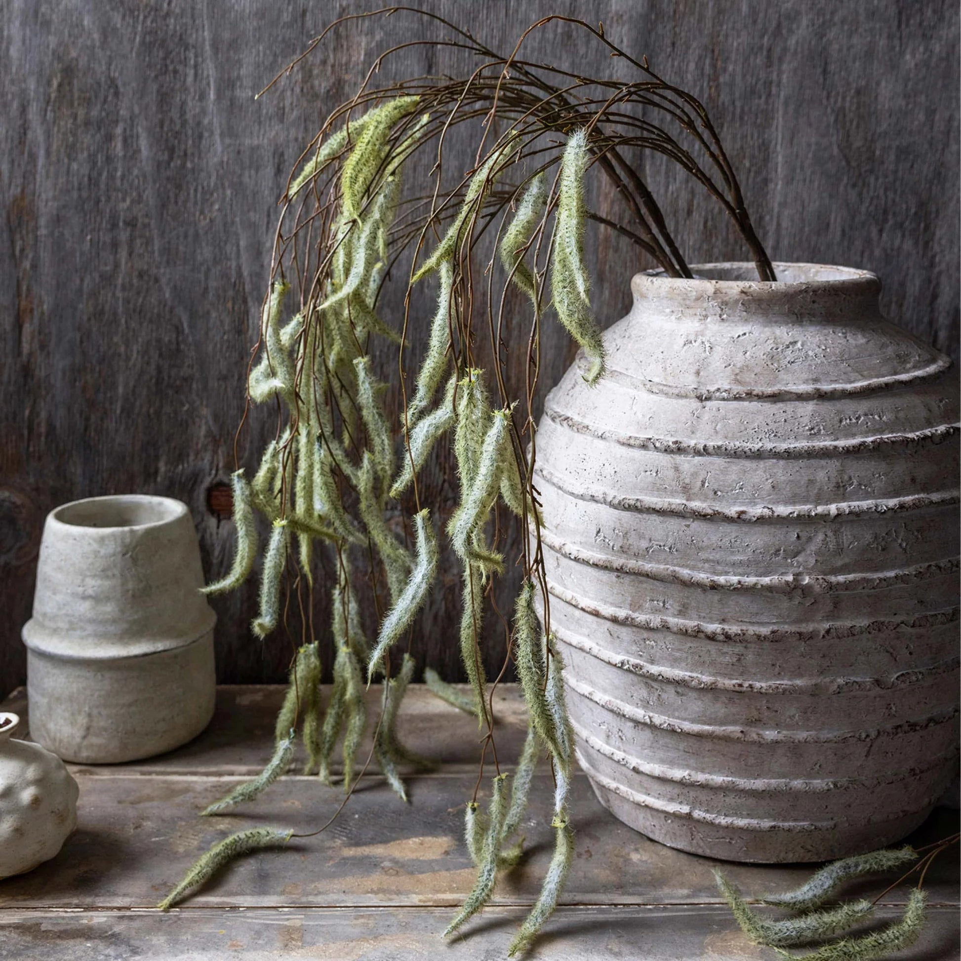 Artificial Trailing Catkin - Hosted by Kelly Gaudreau