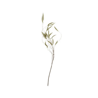 Artificial Trailing Catkin - Hosted by Kelly Gaudreau