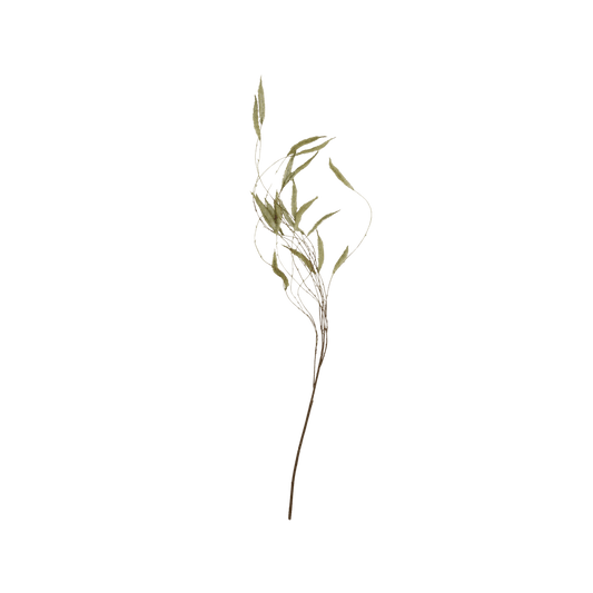 Artificial Trailing Catkin - Hosted by Kelly Gaudreau