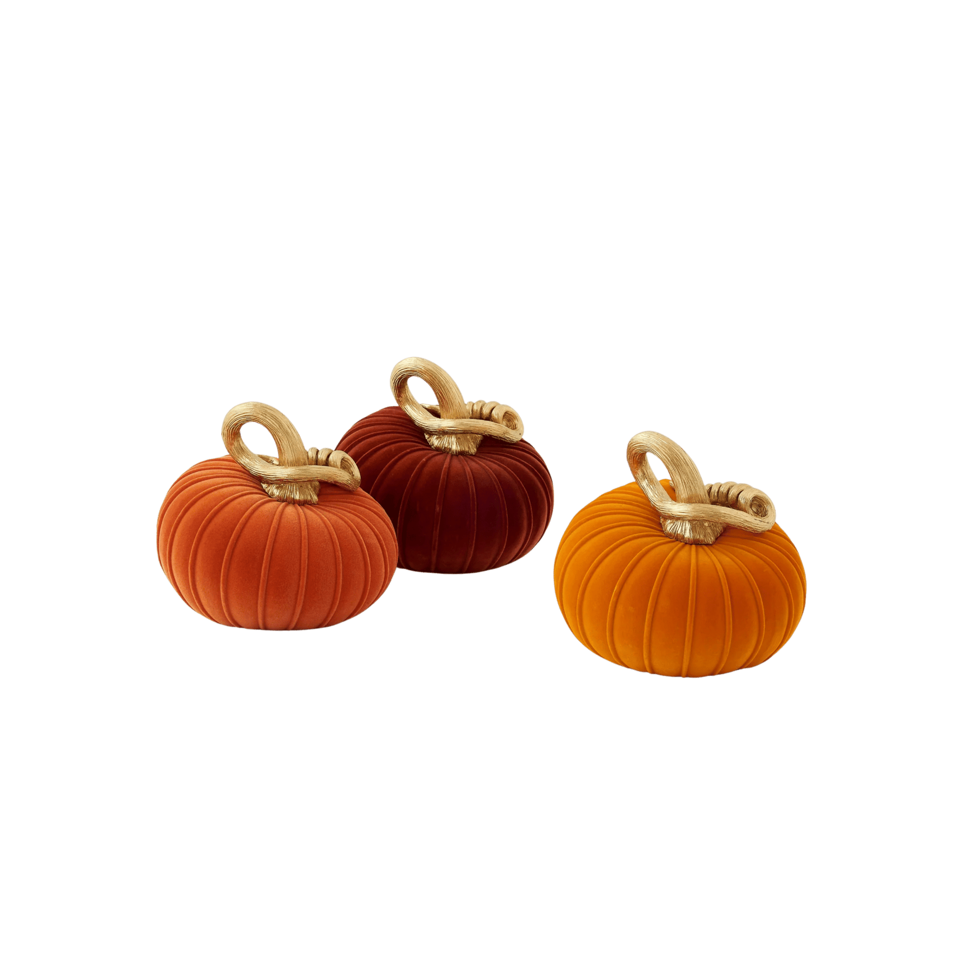 Assorted Large Flocked Pumpkins with Curly Stems - Set of 3 - Hosted by Kelly Gaudreau