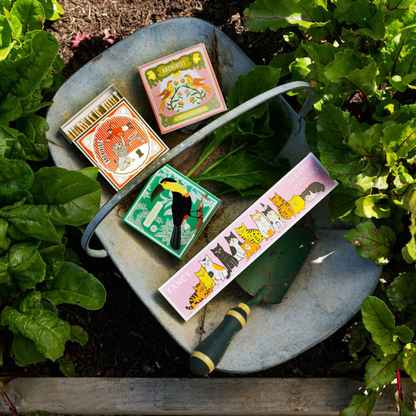 Birdy Matches - Hosted by Kelly Gaudreau