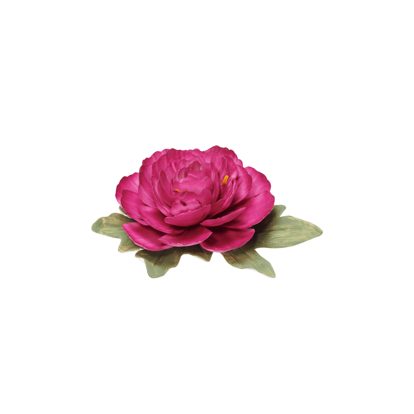 Bloom Porcelain Flower - Hosted by Kelly Gaudreau