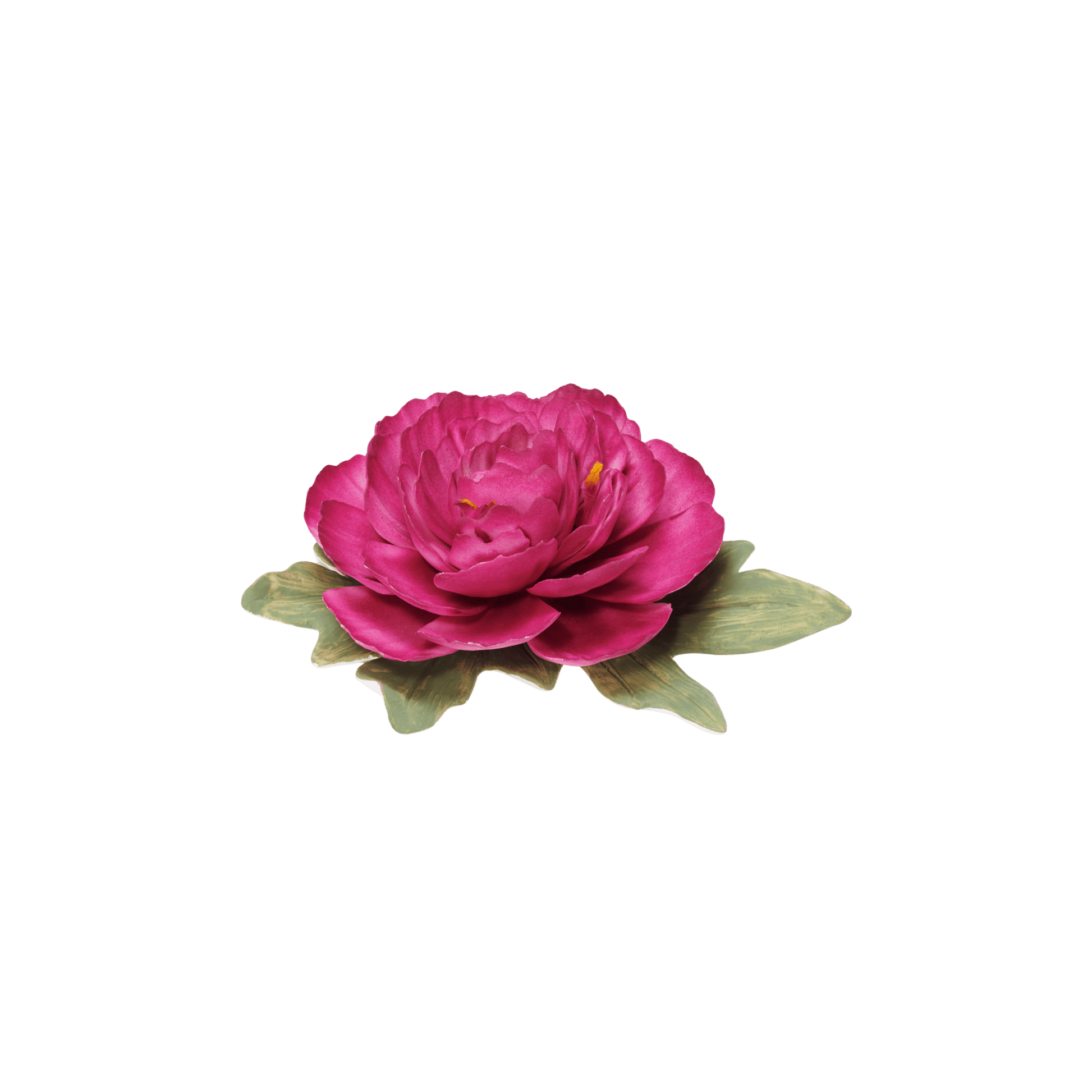 Bloom Porcelain Flower - Hosted by Kelly Gaudreau