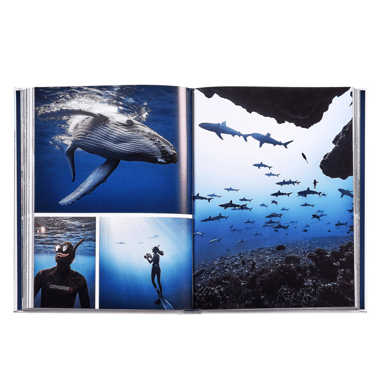 Boatlife: Exploring the Freedom of Maritime Living - Hosted by Kelly Gaudreau